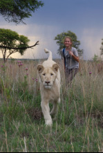 Imagen de Mia y el león blanco - 5