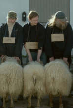 Imagen de Rams (la vall dels Moltons) - 4