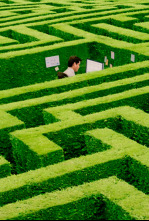 Imagen de After work - 4