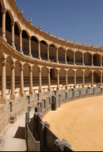 Imagen de Tauromaquias europeas - 4