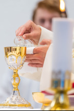 Imagen de Santa Misa de beatificación de los 124 mártires del siglo XX (Jaén) - 4