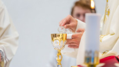 Imagen de Santa Misa de beatificación de los 124 mártires del siglo XX (Jaén) - 5