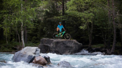 Imagen de Ara salvaje - 5