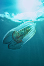 Imagen de Wild Argentina: Tierra de supervivientes - 5