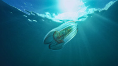 Imagen de Wild Argentina: Aguas peligrosas - 6