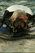 Imagen de Abismo del Pacífico (T1): Ep.1 - 4