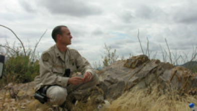 Imagen de Dentro de: Inside the Center of Islamic Civilization - 5