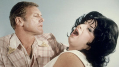 Imagen de Polyester - 5