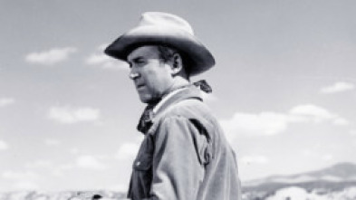 Imagen de El hombre de Laramie - 5