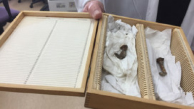 Imagen de El ADN de Jesucristo - 5