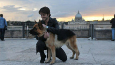 Imagen de Rex, un policía... (T14): Ep.3 Juego de engaños - 5