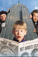 Imagen de Solo en casa 2: Perdido en Nueva York - 4