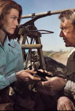 Imagen de Llegaron a Cordura - 4