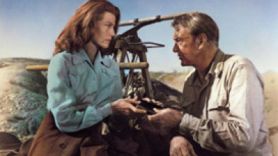 Imagen de Llegaron a Cordura - 5