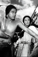 Imagen de El salvaje - 4