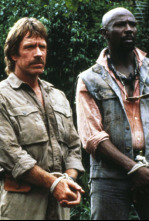 Imagen de El templo del oro - 4