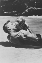 Imagen de De aquí a la eternidad - 10