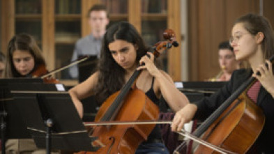 Imagen de Divertimento - 5