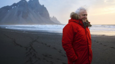 Imagen de Un planeta perfecto: El sol - 5