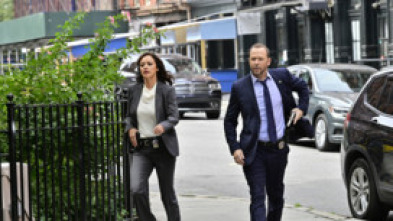 Imagen de Blue Bloods (T12): Ep.11 En el brazo - 5