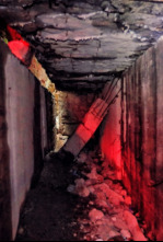 Imagen de Hitler: Las cintas...: El colapso - 5