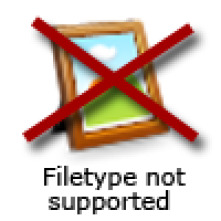 Imagen de Blue Bloods (Familia de policías) (T7) - 5