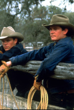 Imagen de Tots els cavalls bonics - 4