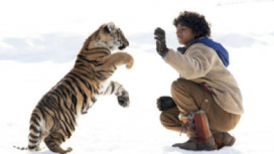 Imagen de El Niño Y El Tigre - 5