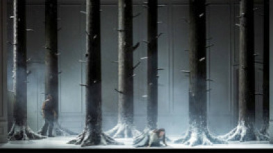 Imagen de Wagner : Die Walküre - Opernhaus Zurich - 5