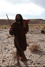 Imagen de La vida secreta de los Apóstoles - 10