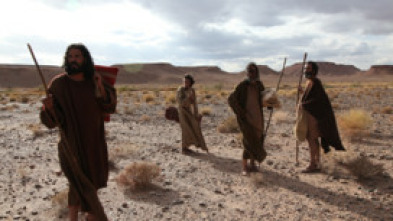 Imagen de La vida secreta de los Apóstoles - 11