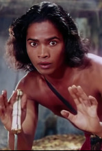 Imagen de El libro de la selva - 4