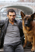 Imagen de Rex, un policía diferente (T16) - 4