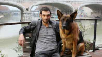 Imagen de Rex, un policía... (T16): Ep.1 Fiesta de graduación - 5