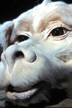 Imagen de La historia interminable - 4