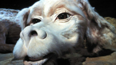 Imagen de La historia interminable - 5