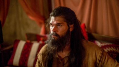 Imagen de Sansón - 5