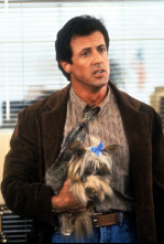 Imagen de ¡Alto! o mi madre dispara - 4