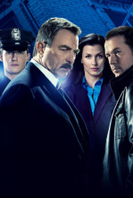 Imagen de Blue Bloods... (T7): Ep.12 No desvanecerse - 4