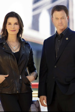 Imagen de C.S.I. NY (T9): Ep.15 Seth y Apep - 4