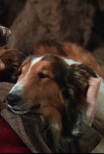 Imagen de La cadena invisible - 4