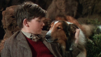 Imagen de La cadena invisible - 5