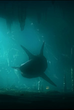 Imagen de Megalodón - 4