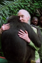 Imagen de Increíble 2025 - 4