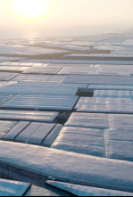 Imagen de The Price of Progress - 4