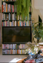 Imagen de Nunca es demasiado pequeño - 4