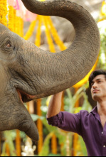 Imagen de Junglee: Alma salvaje - 4