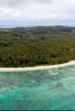 Imagen de Ura, Sauver l'oiseau Sacre des Australes - 4