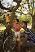 Imagen de Thabo y el caso del rinoceronte - 4