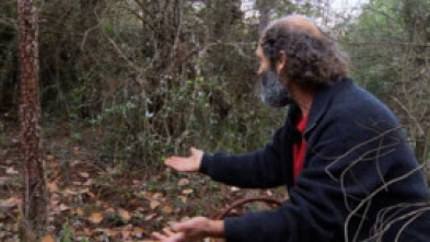 Imagen de El señor de los bosques (T1) - 7